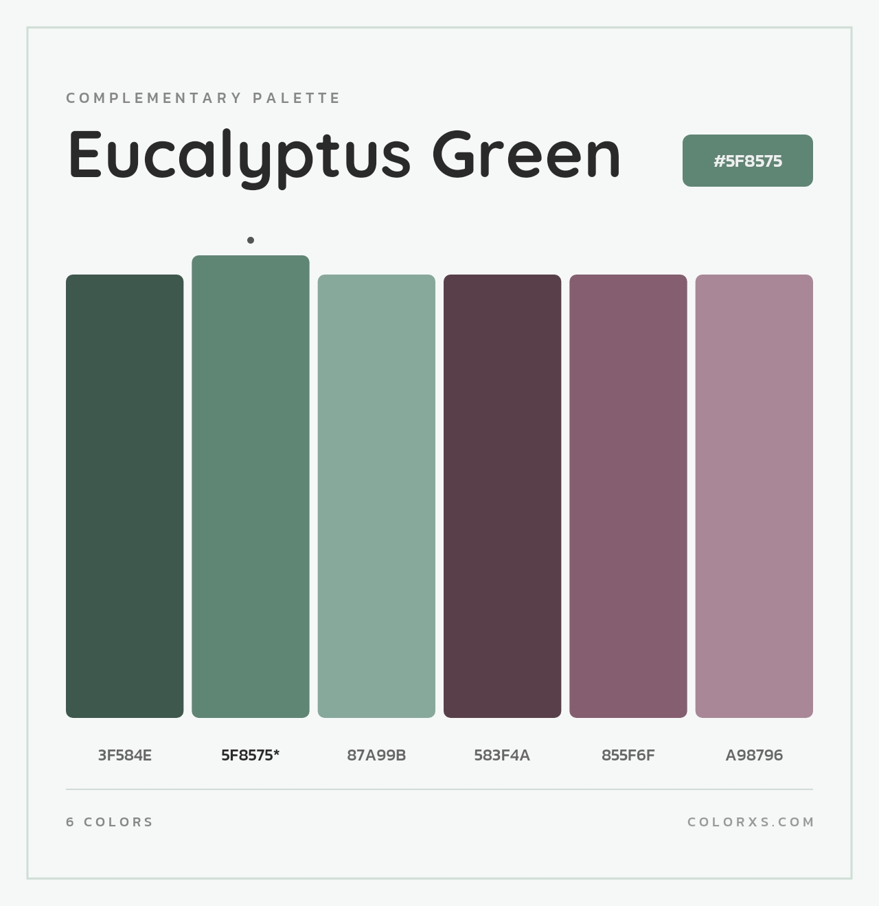 Eucalyptus Green - Complementary Color Palette