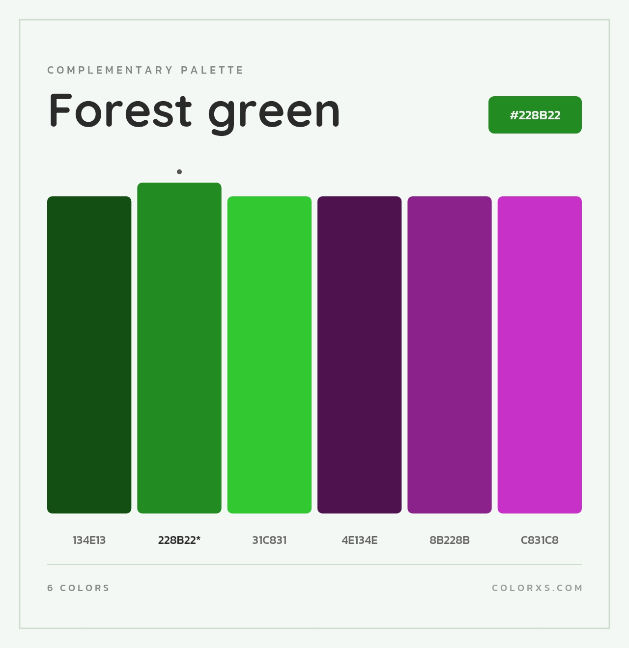 Forest green - Complementary Color Palette