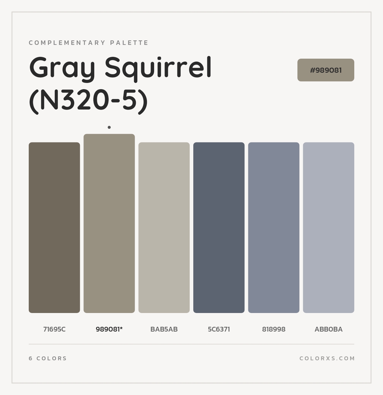 Gray Squirrel (N320-5) - Complementary Color Palette