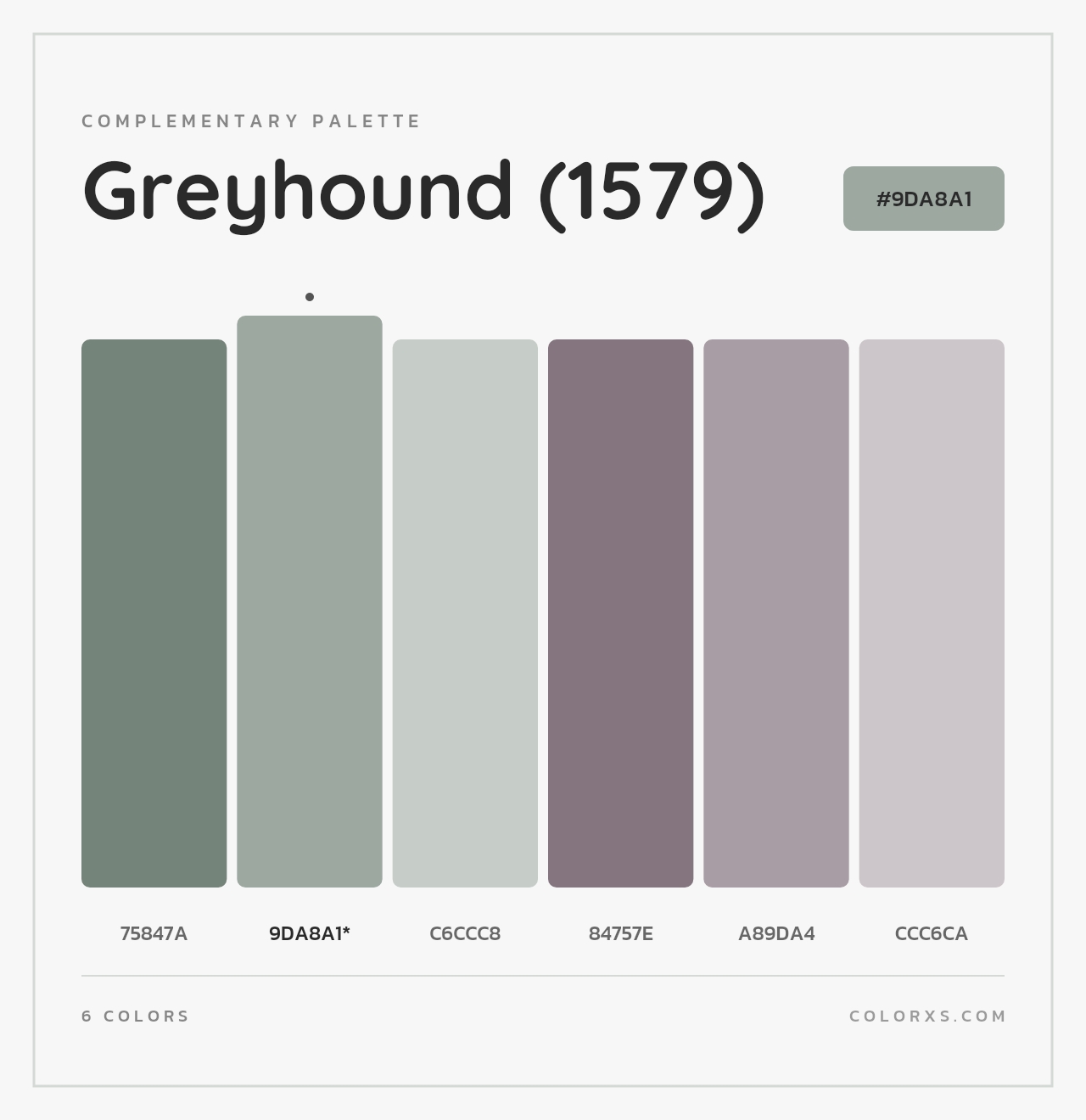 Greyhound (1579) - Complementary Color Palette