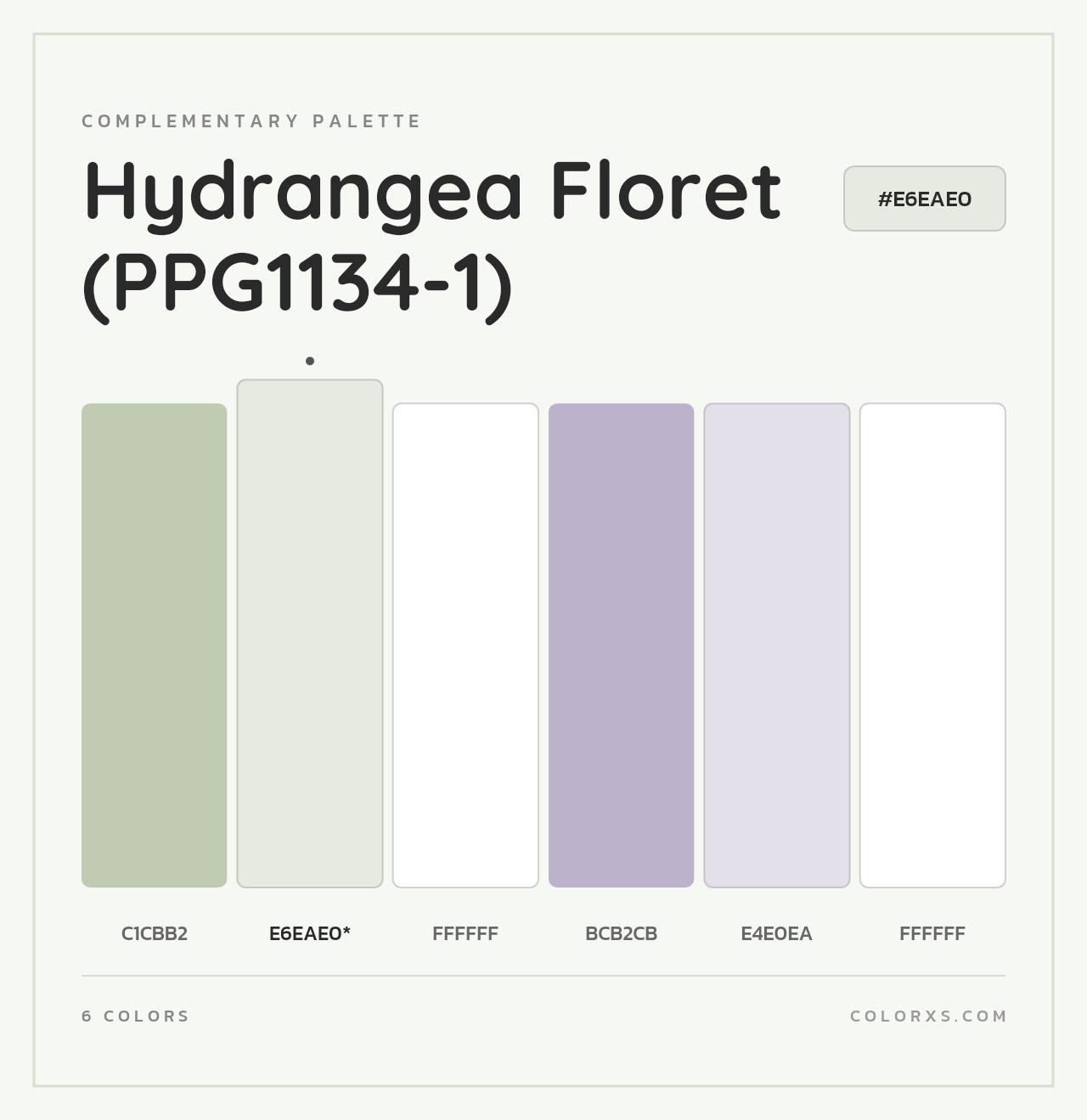 Hydrangea Floret (PPG1134-1) - Complementary Color Palette