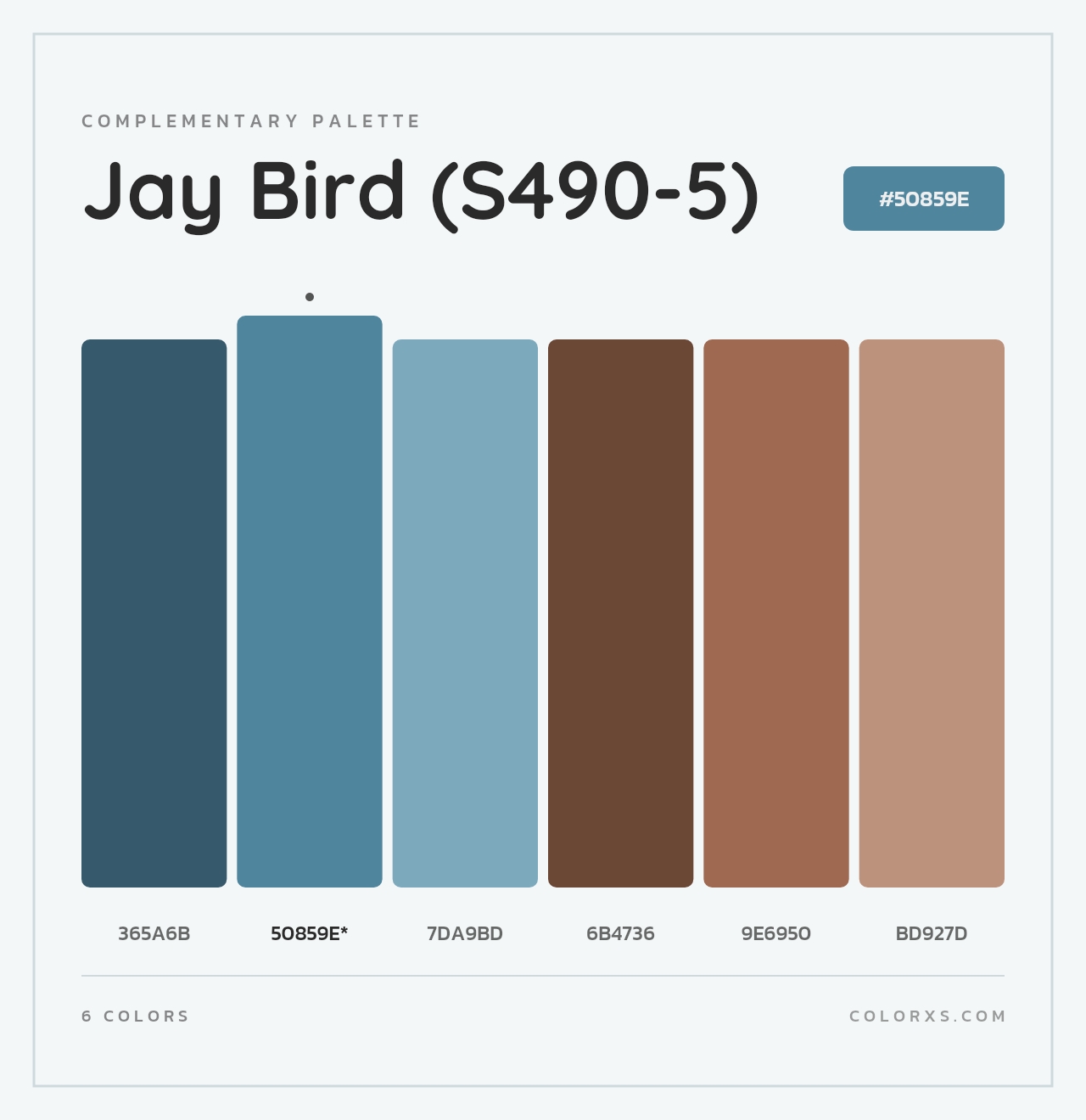 Jay Bird (S490-5) - Complementary Color Palette