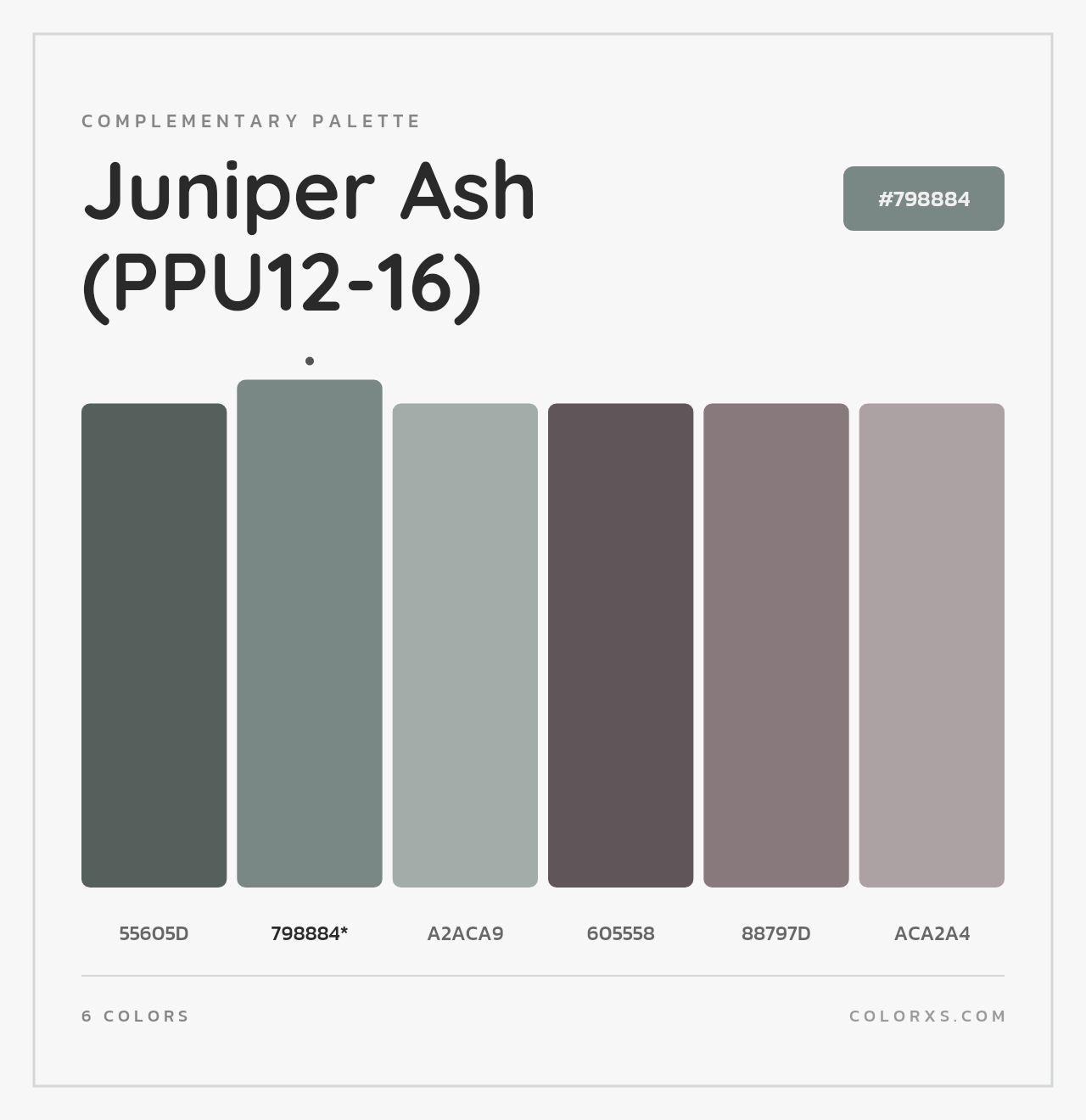 Juniper Ash (PPU12-16) - Complementary Color Palette