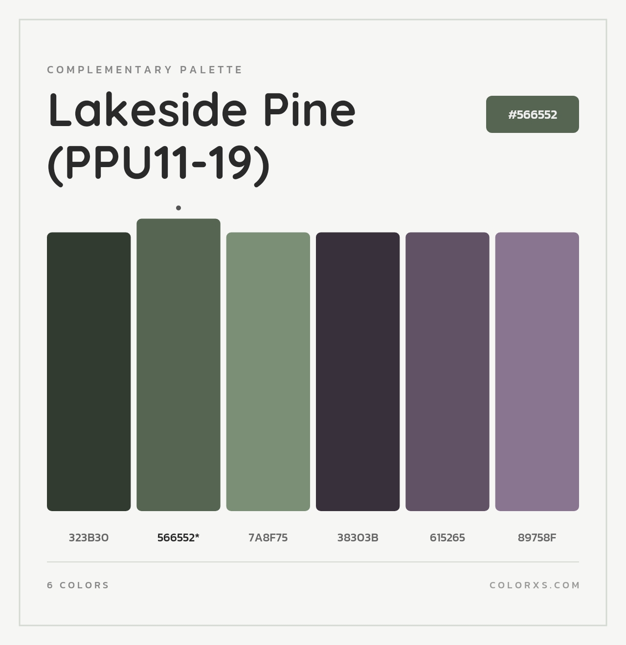 Lakeside Pine (PPU11-19) - Complementary Color Palette