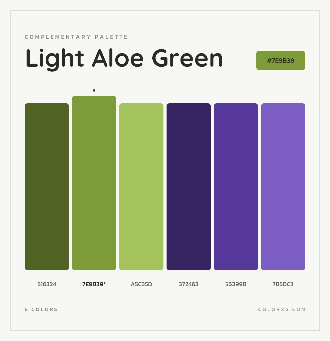 Light Aloe Green - Complementary Color Palette