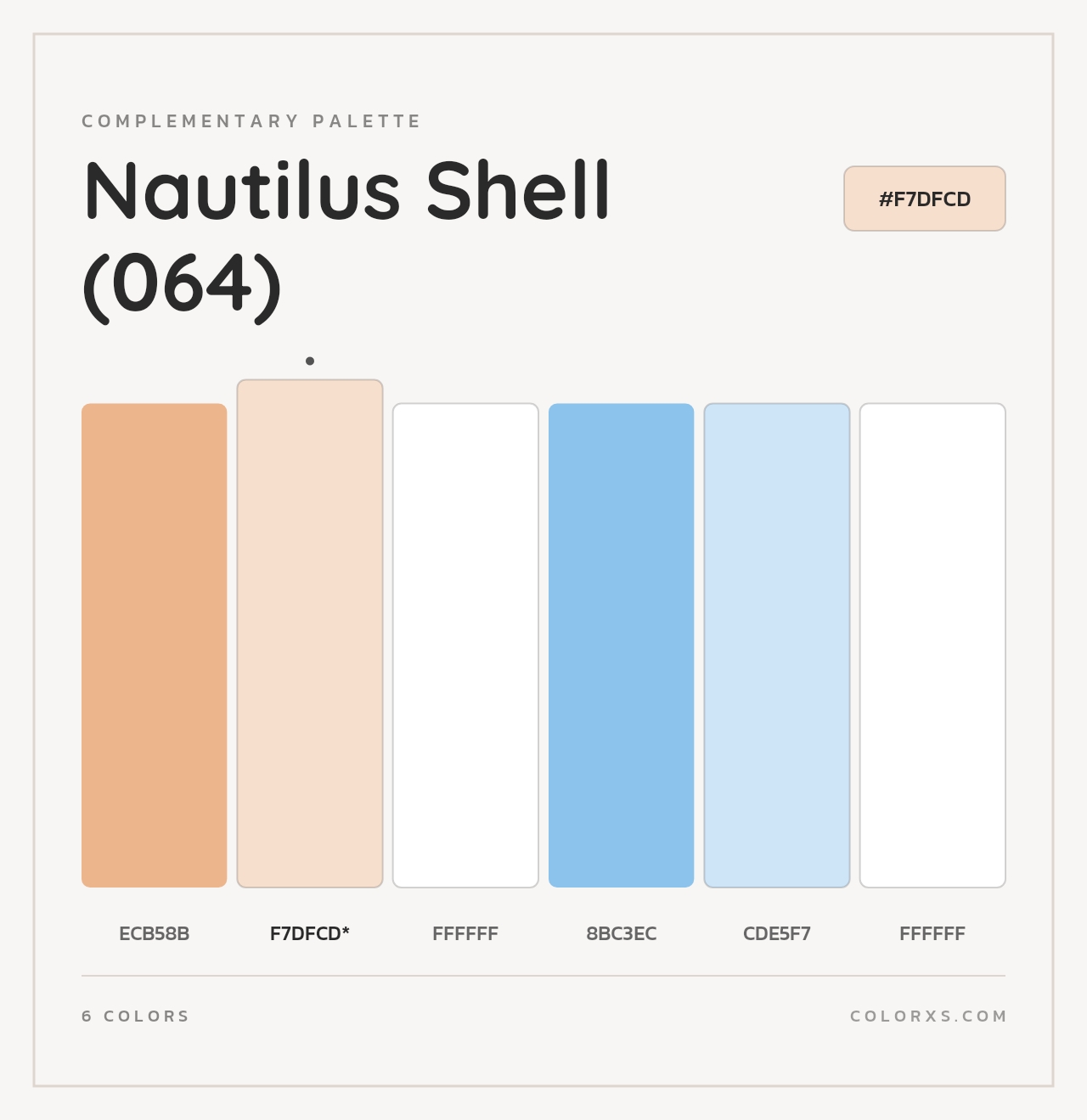 Nautilus Shell (064) - Complementary Color Palette