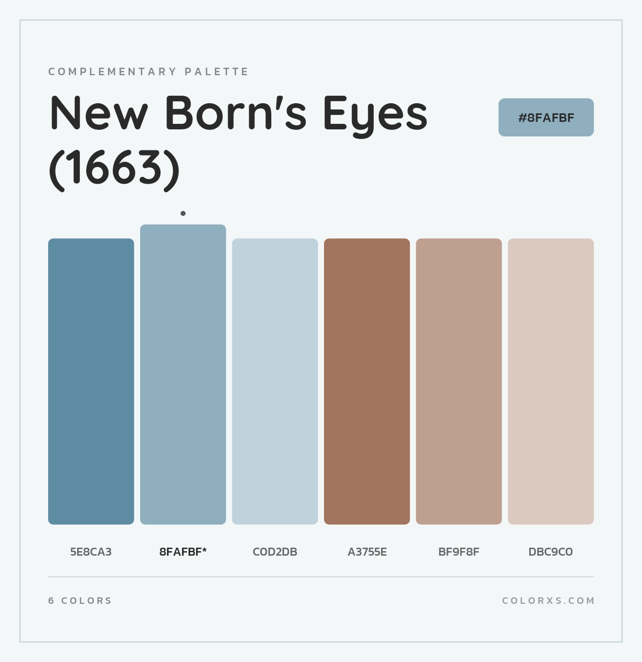New Born's Eyes (1663) - Complementary Color Palette