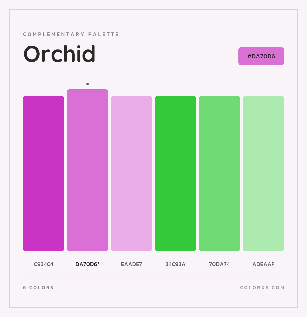 Orchid - Complementary Color Palette