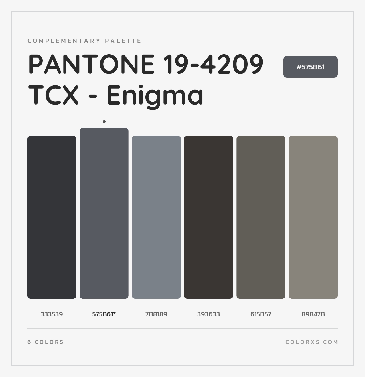 PANTONE 19-4209 TCX - Enigma - Complementary Color Palette