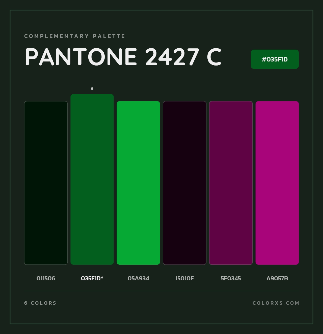 PANTONE 2427 C - Complementary Color Palette