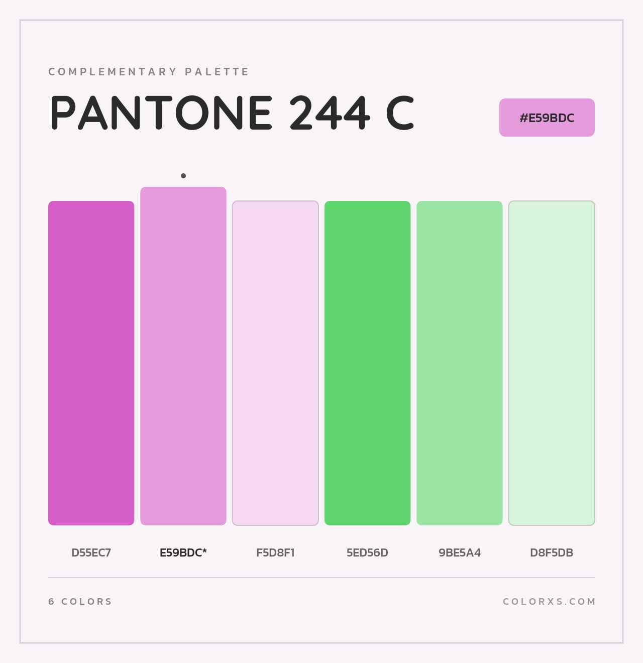 PANTONE 244 C - Complementary Color Palette