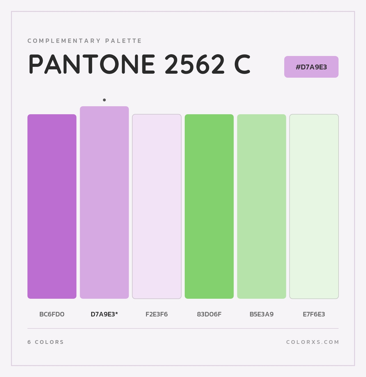 PANTONE 2562 C - Complementary Color Palette