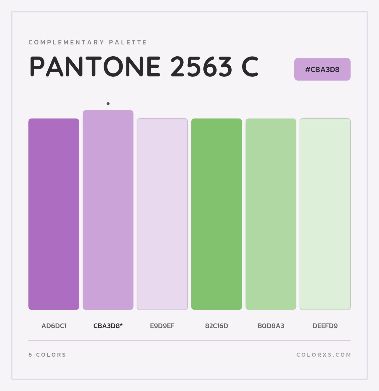 PANTONE 2563 C - Complementary Color Palette