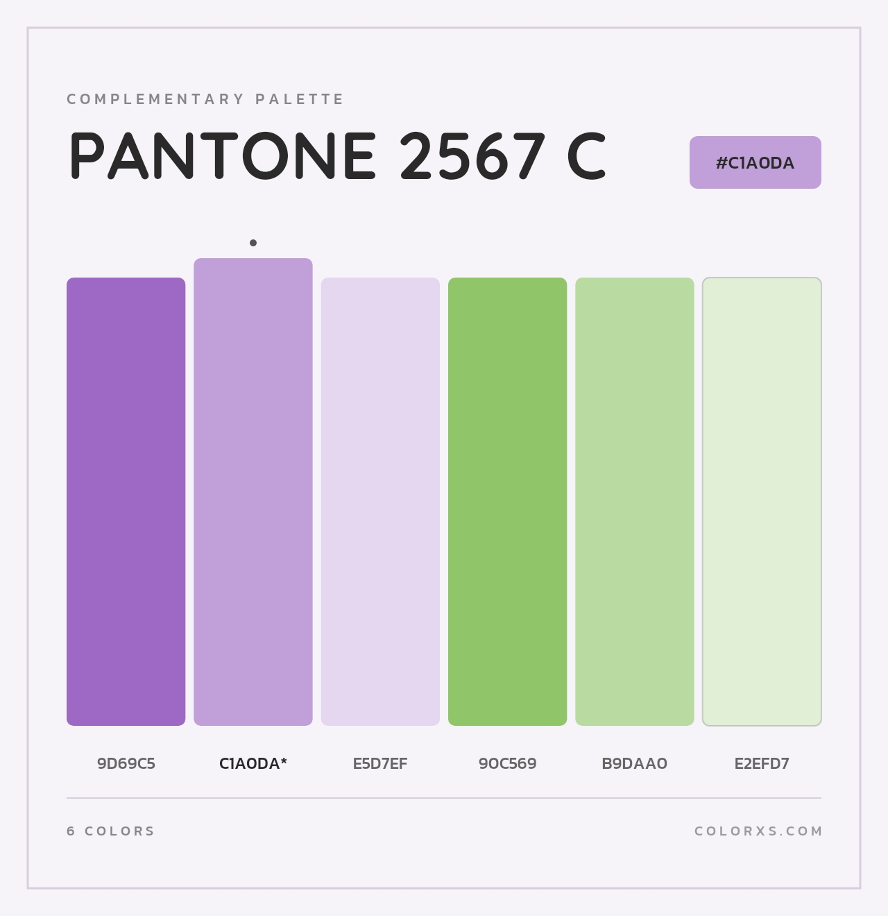 PANTONE 2567 C - Complementary Color Palette
