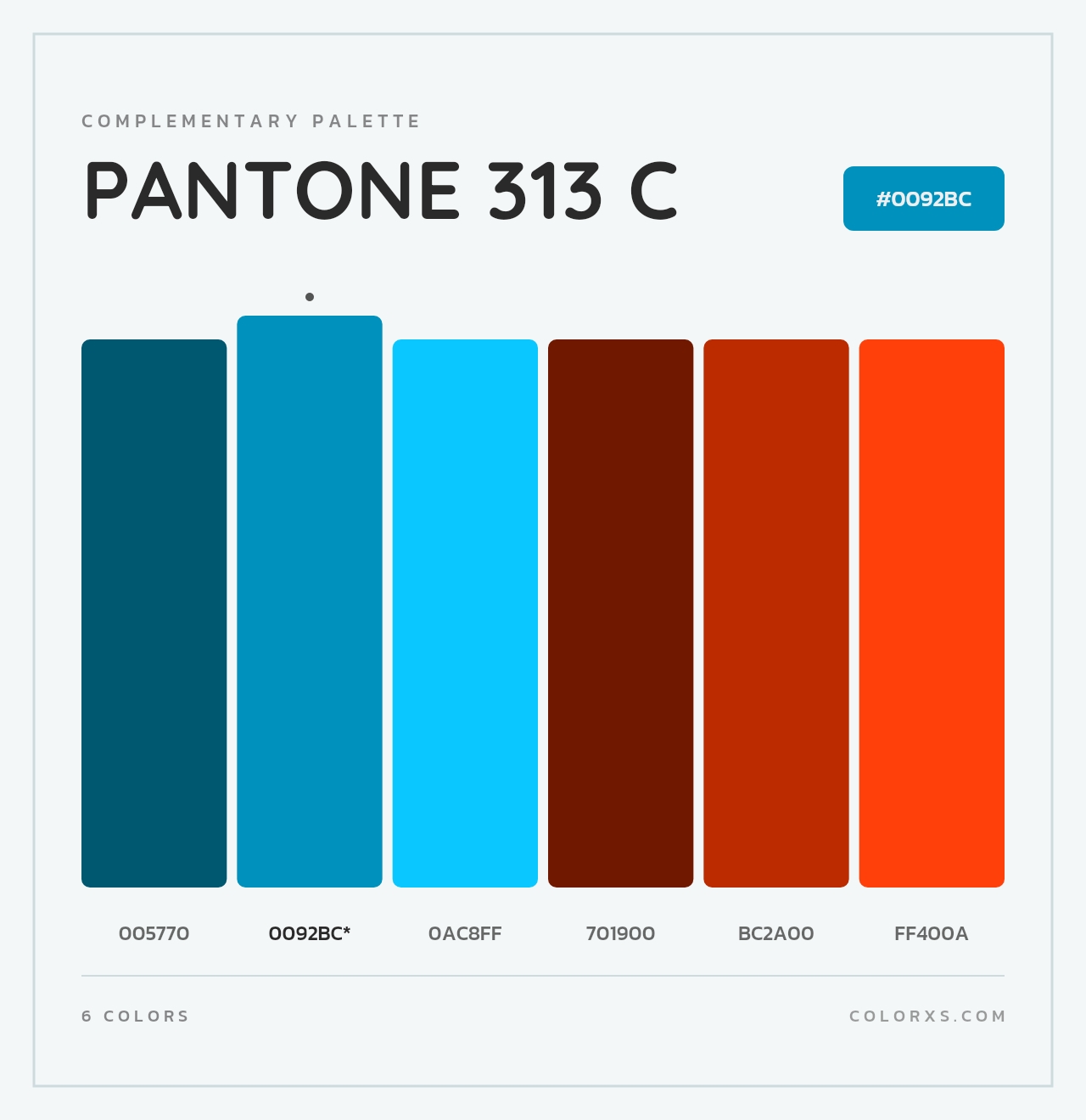 PANTONE 313 C - Complementary Color Palette