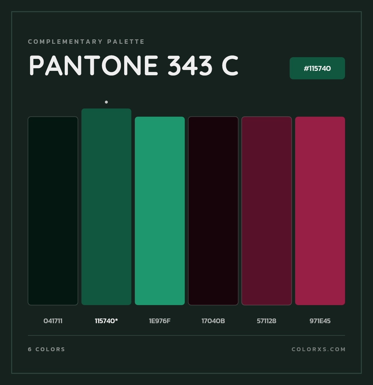 PANTONE 343 C - Complementary Color Palette