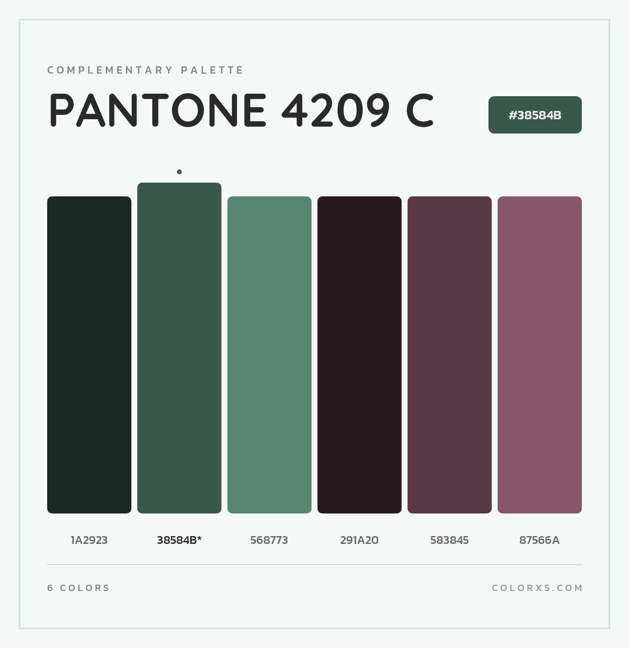 PANTONE 4209 C - Complementary Color Palette