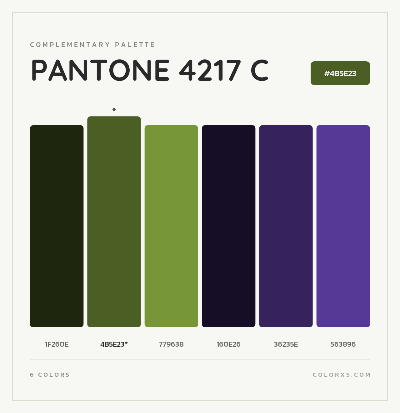 PANTONE 4217 C - Complementary Color Palette