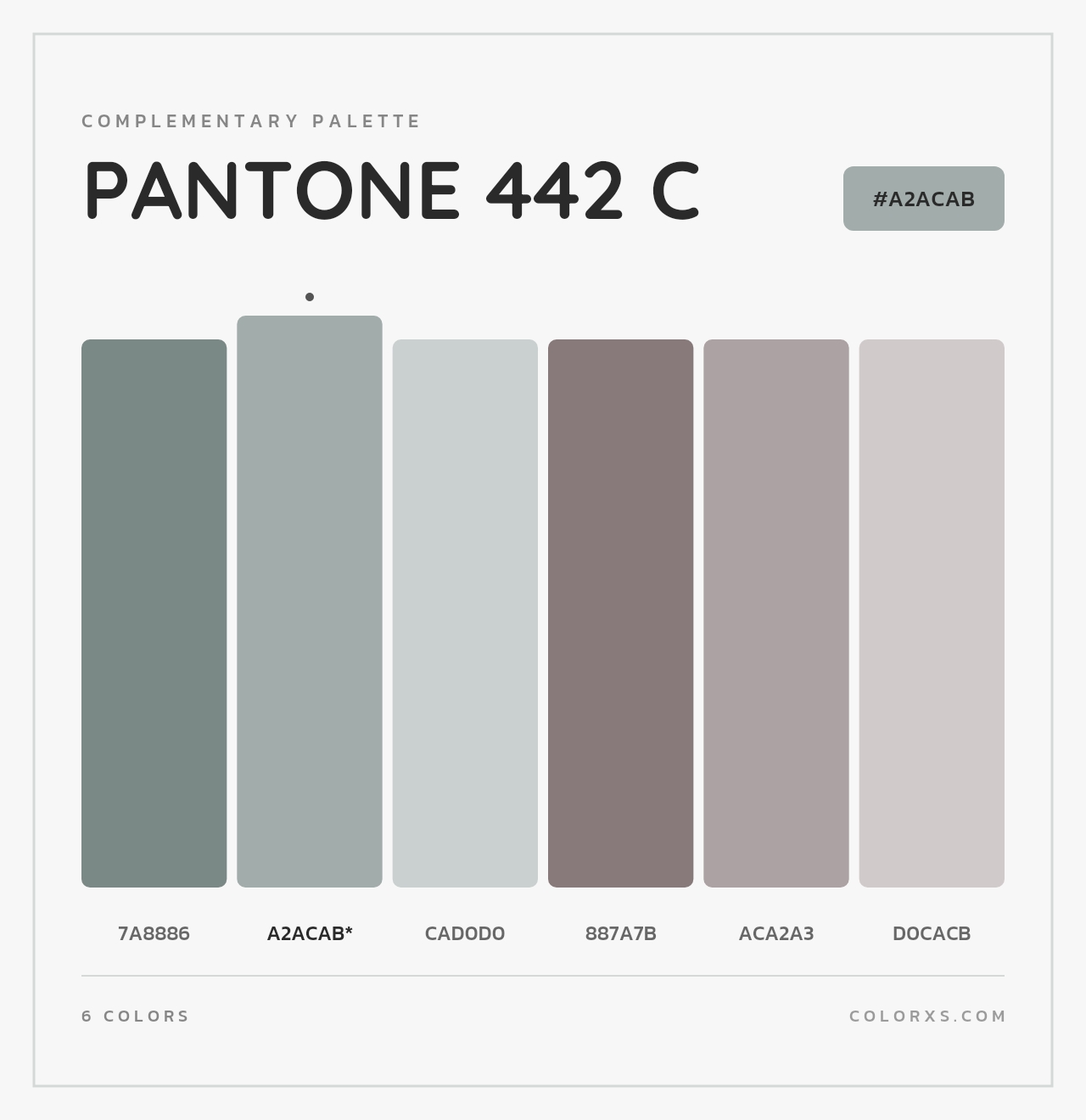 PANTONE 442 C - Complementary Color Palette