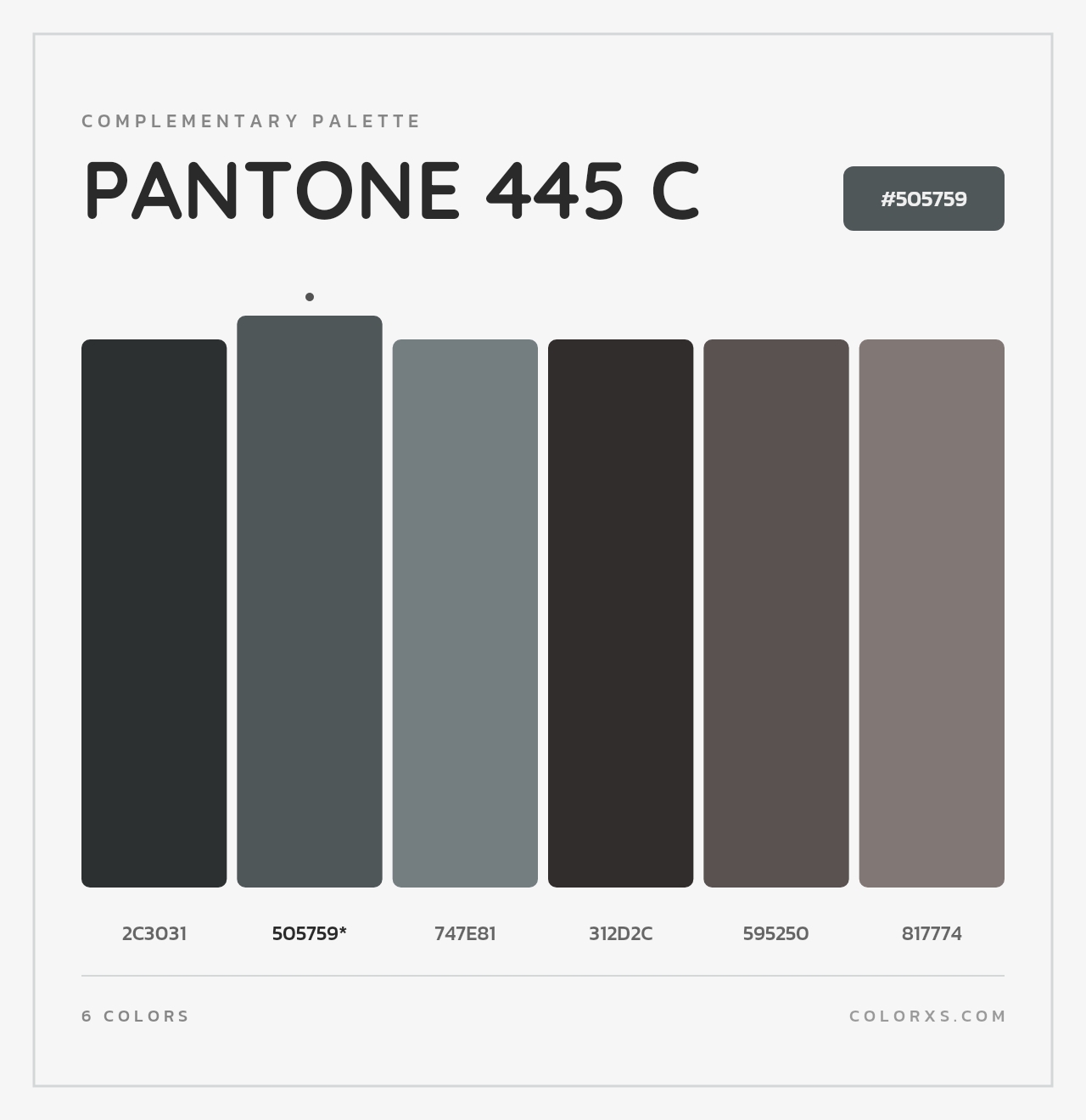 PANTONE 445 C - Complementary Color Palette