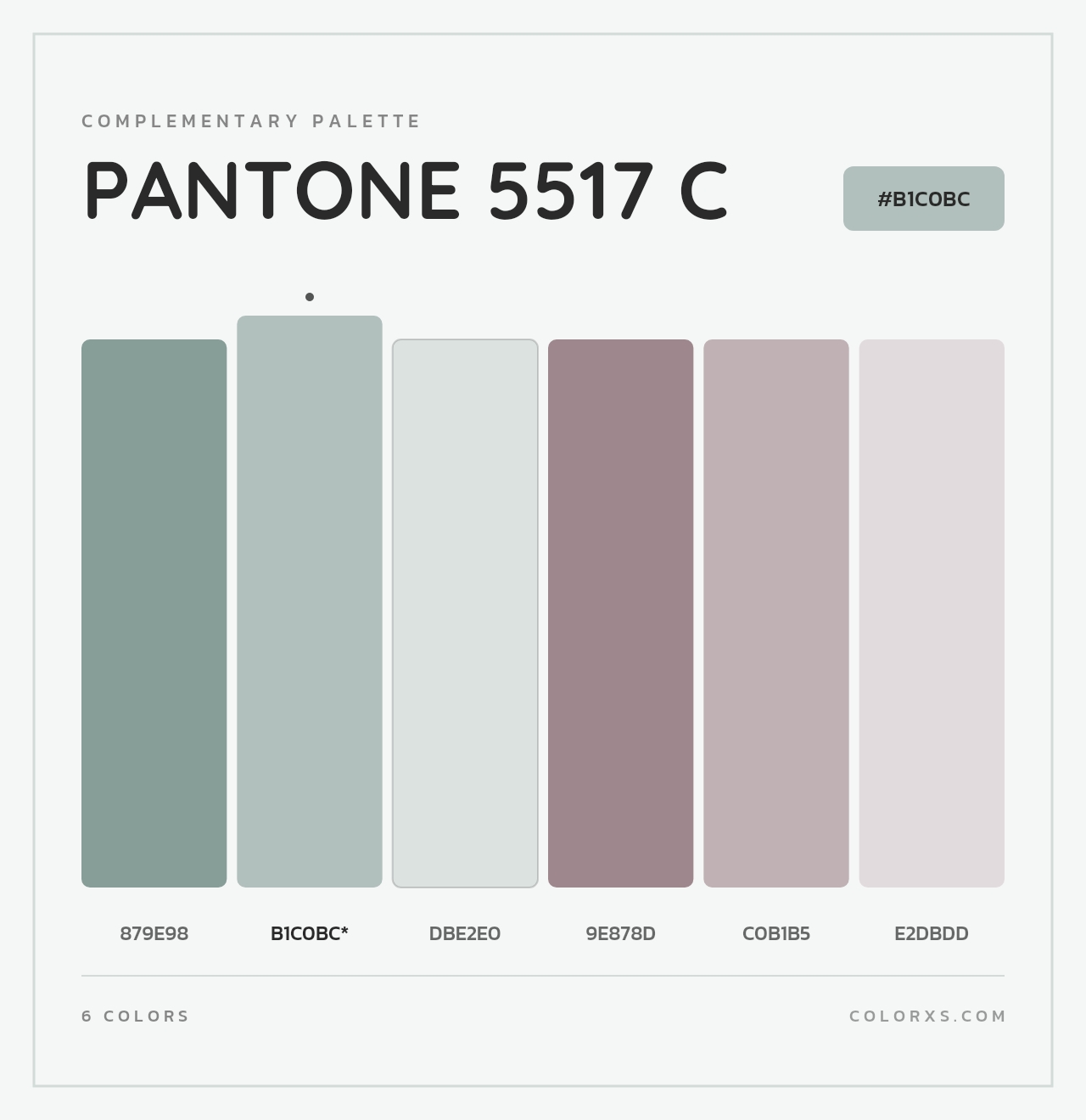 PANTONE 5517 C - Complementary Color Palette