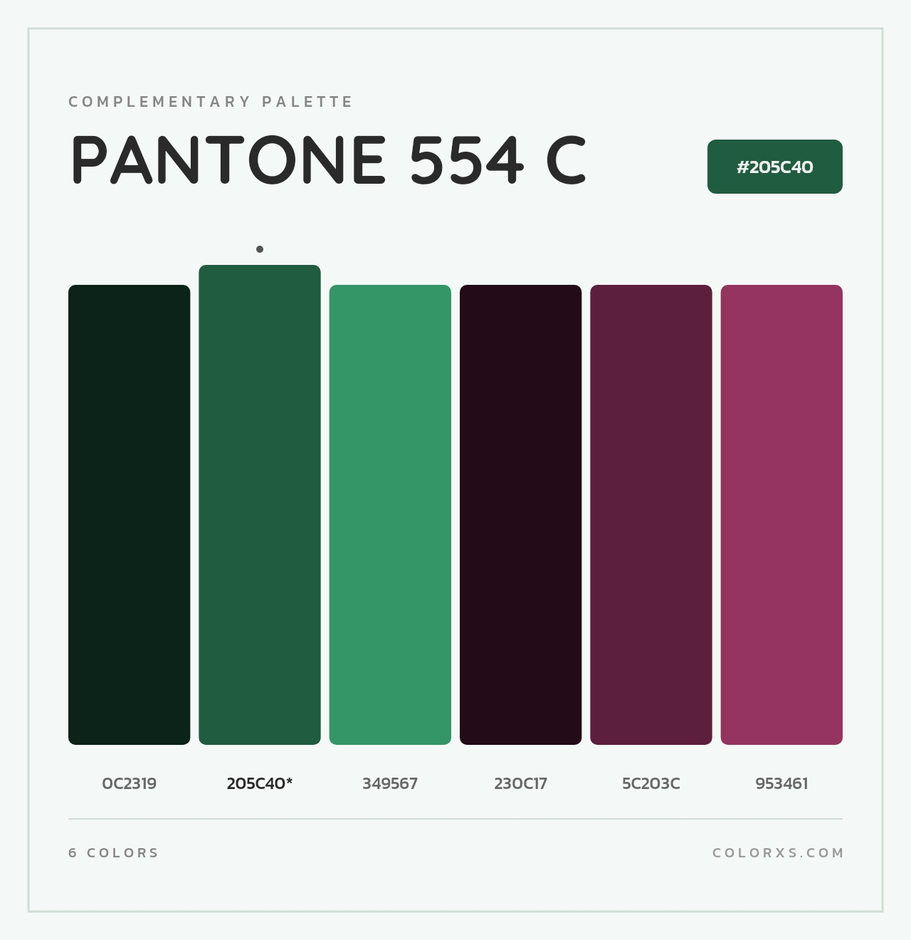 PANTONE 554 C - Complementary Color Palette