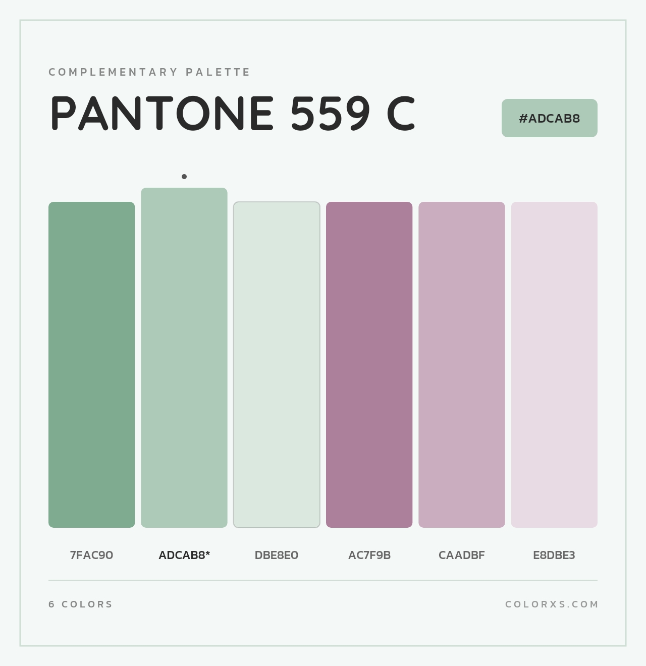 PANTONE 559 C - Complementary Color Palette