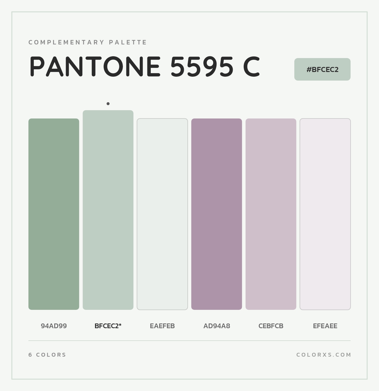 PANTONE 5595 C - Complementary Color Palette