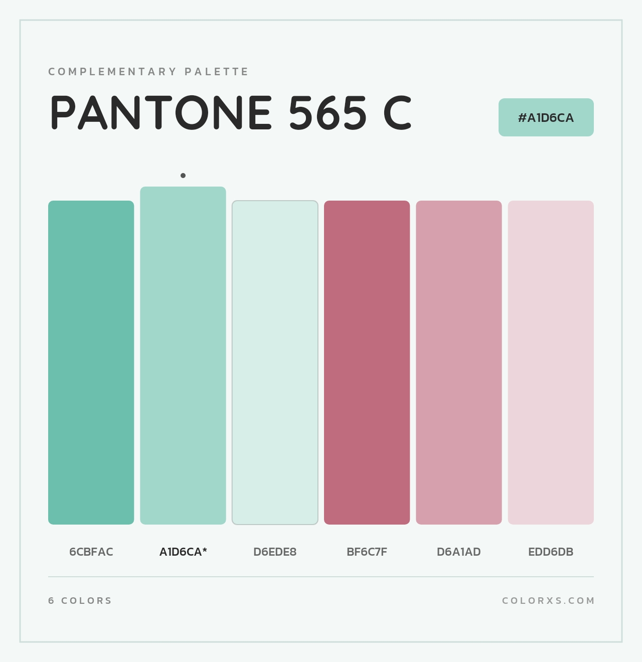 PANTONE 565 C - Complementary Color Palette