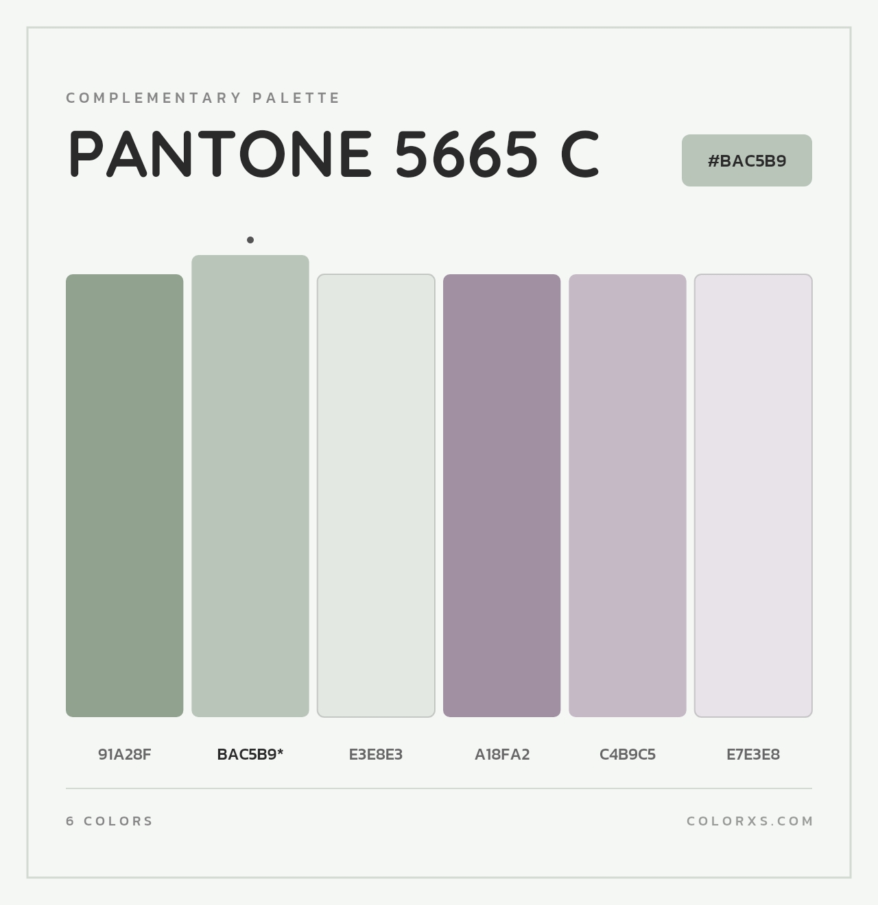 PANTONE 5665 C - Complementary Color Palette