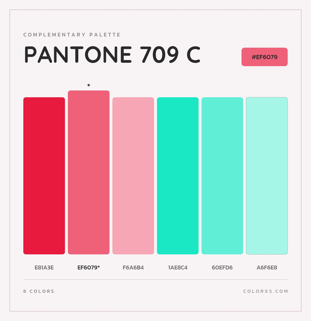PANTONE 709 C - Complementary Color Palette