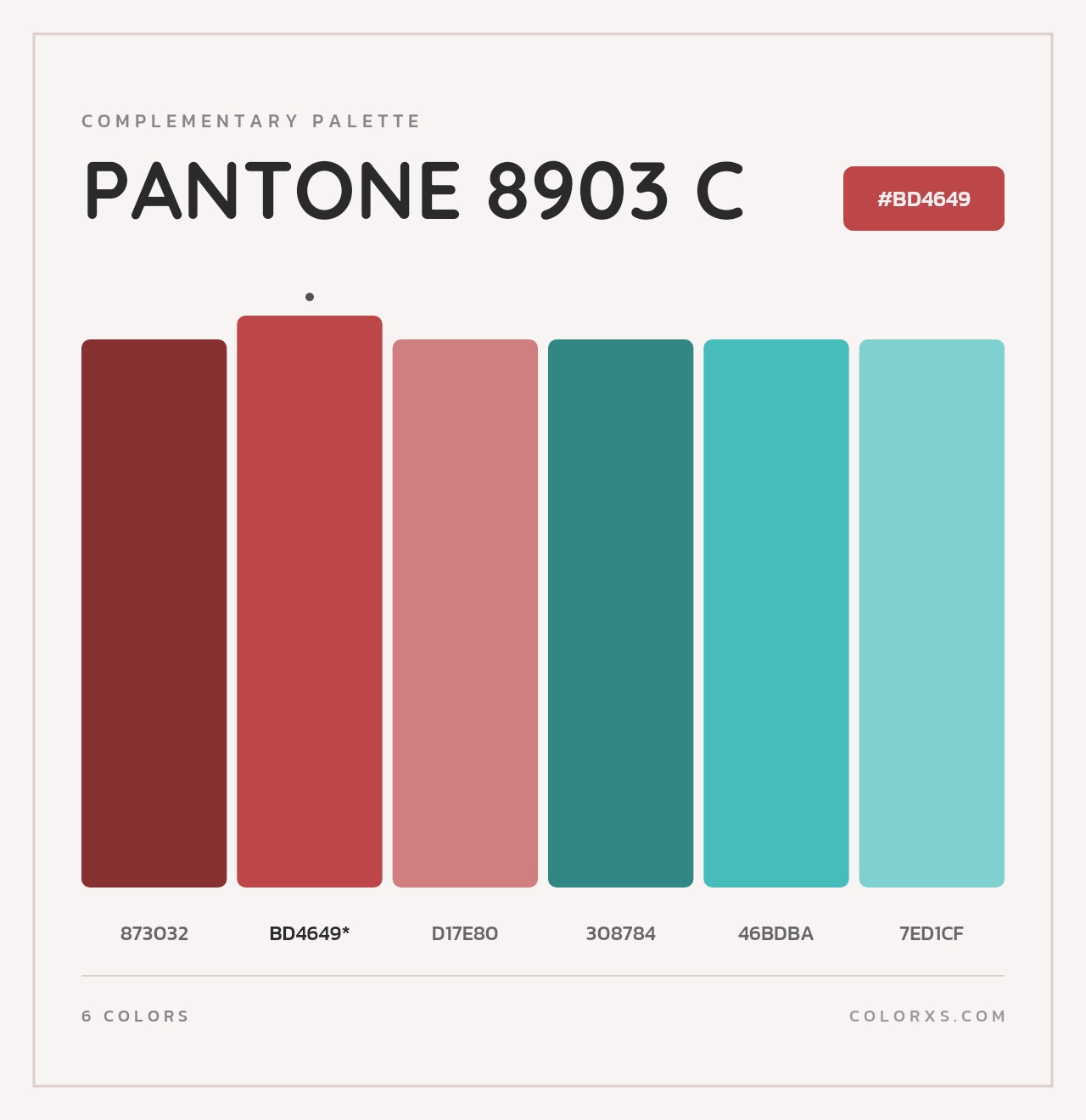PANTONE 8903 C - Complementary Color Palette