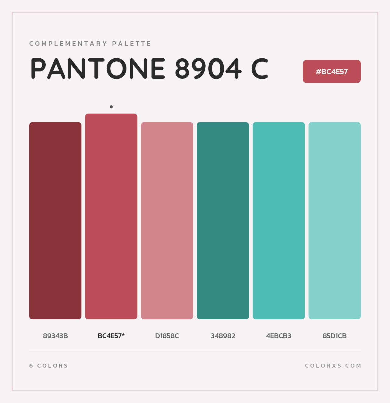 PANTONE 8904 C - Complementary Color Palette