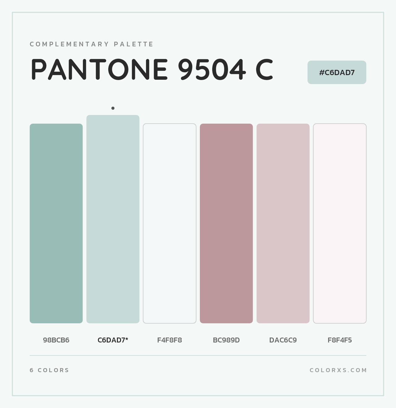 PANTONE 9504 C - Complementary Color Palette