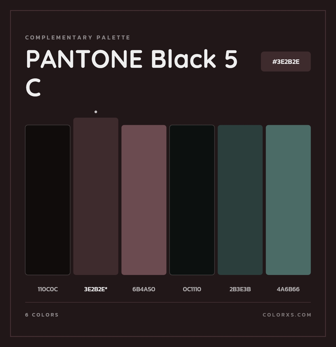 PANTONE Black 5 C - Complementary Color Palette