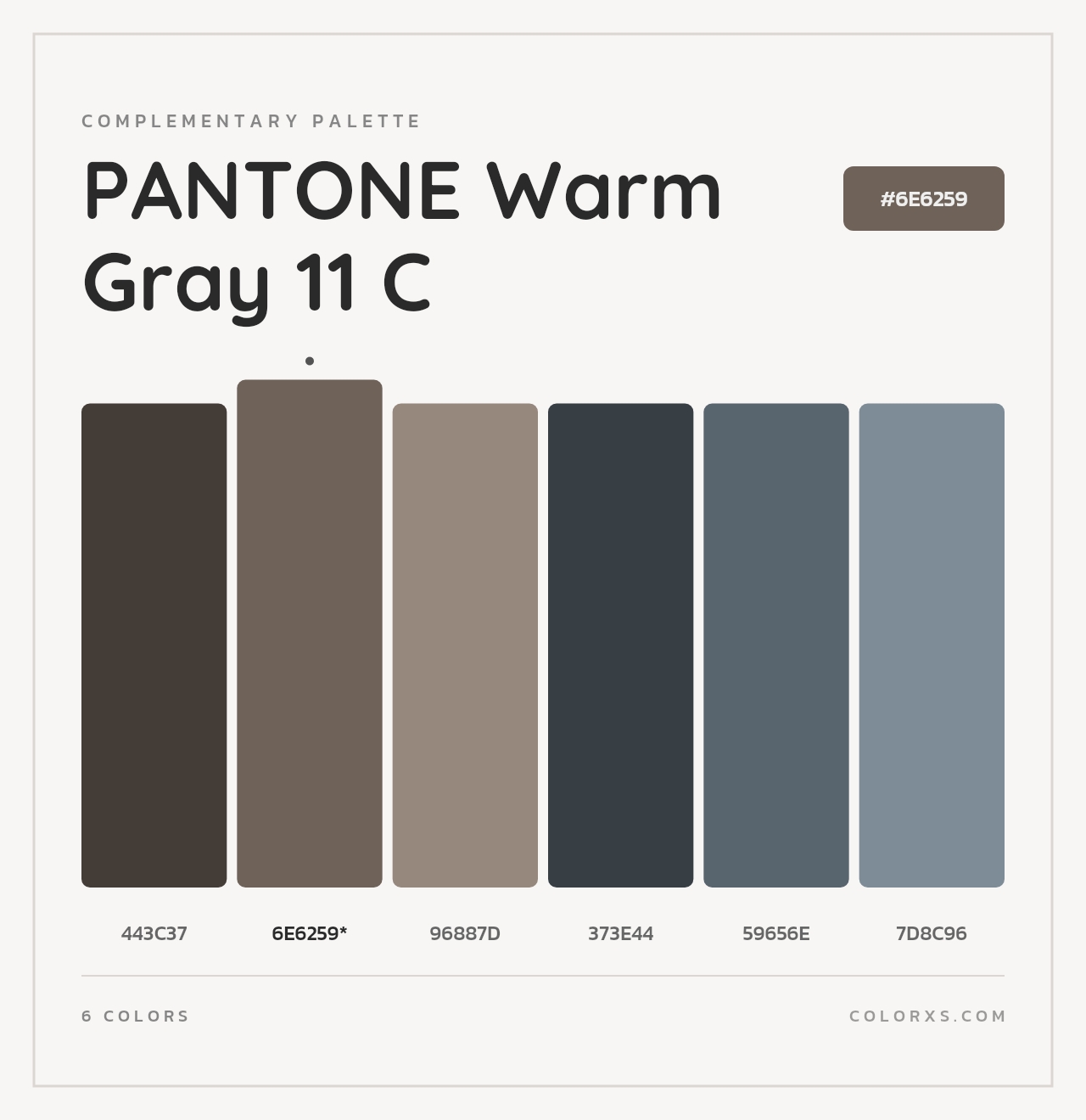 PANTONE Warm Gray 11 C - Complementary Color Palette