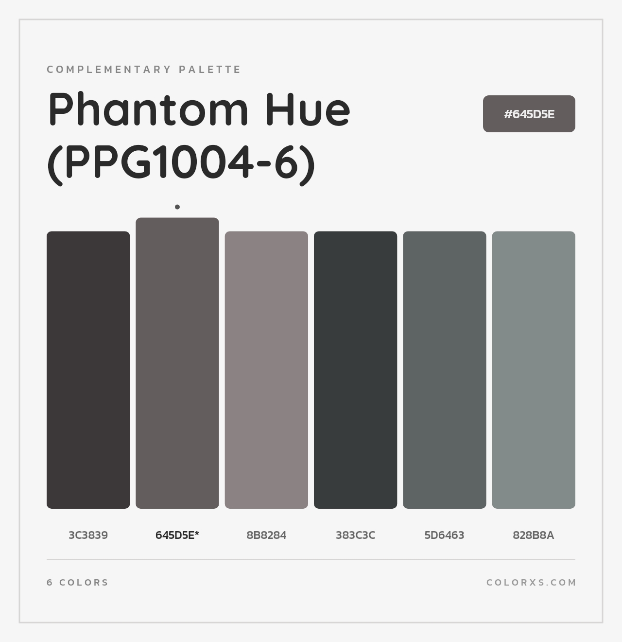 Phantom Hue (PPG1004-6) - Complementary Color Palette