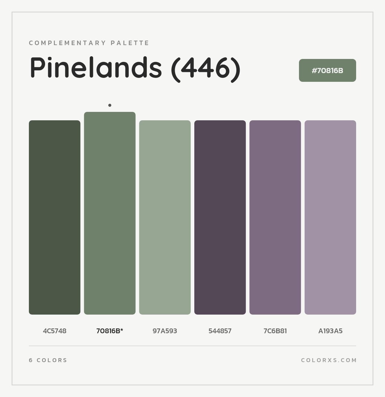 Pinelands (446) - Complementary Color Palette