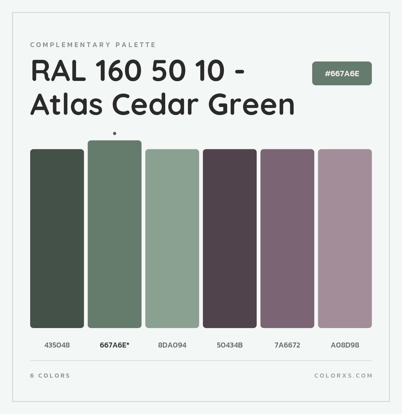 RAL 160 50 10 - Atlas Cedar Green - Complementary Color Palette