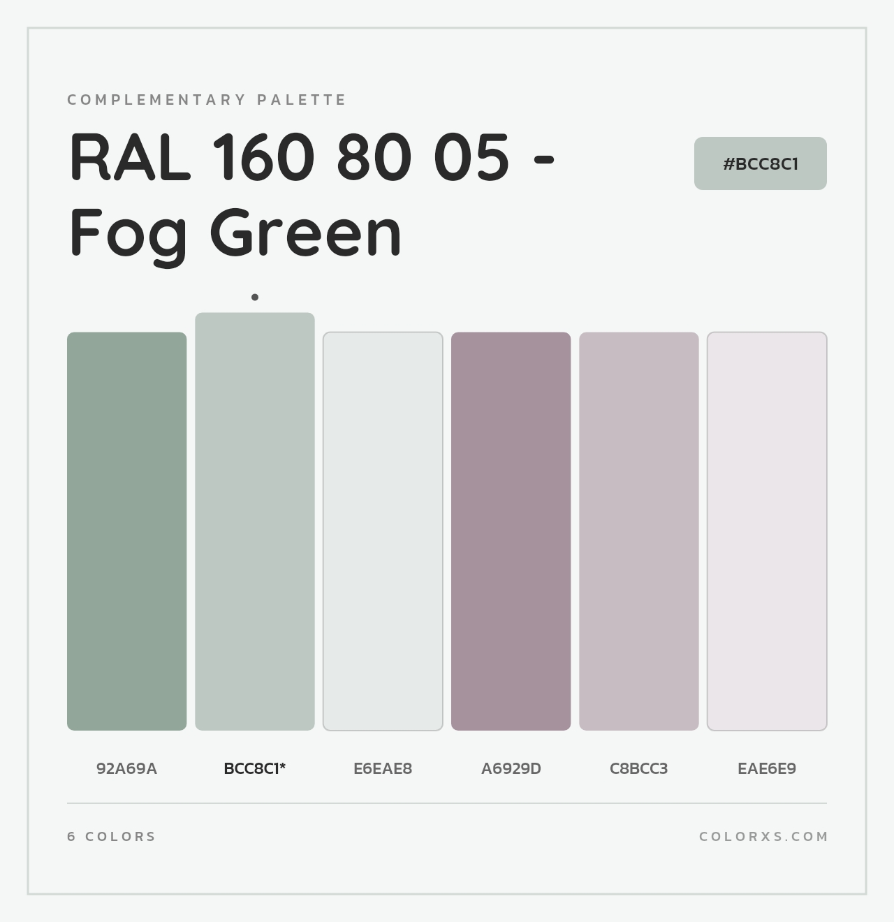 RAL 160 80 05 - Fog Green - Complementary Color Palette
