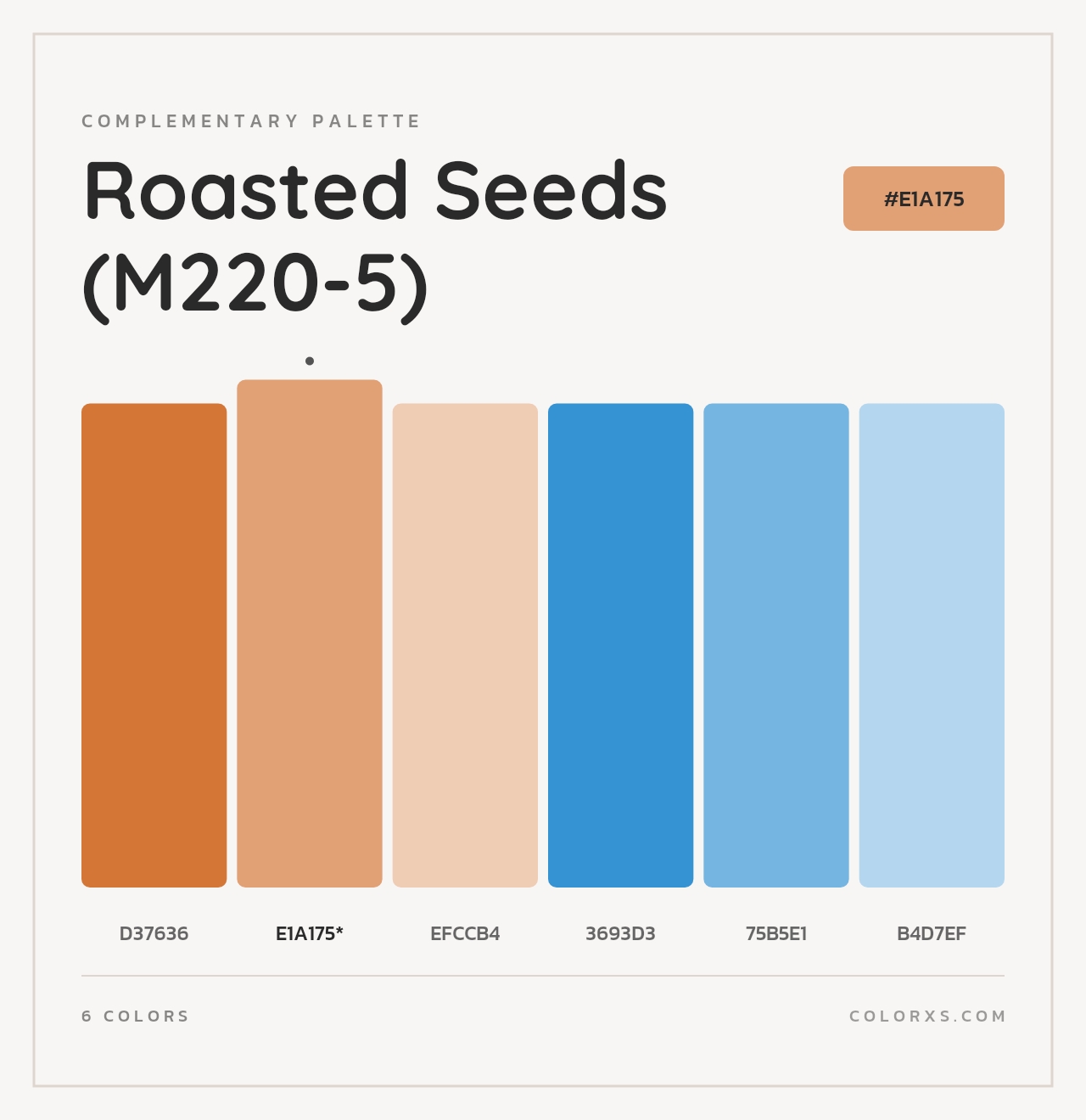 Roasted Seeds (M220-5) - Complementary Color Palette