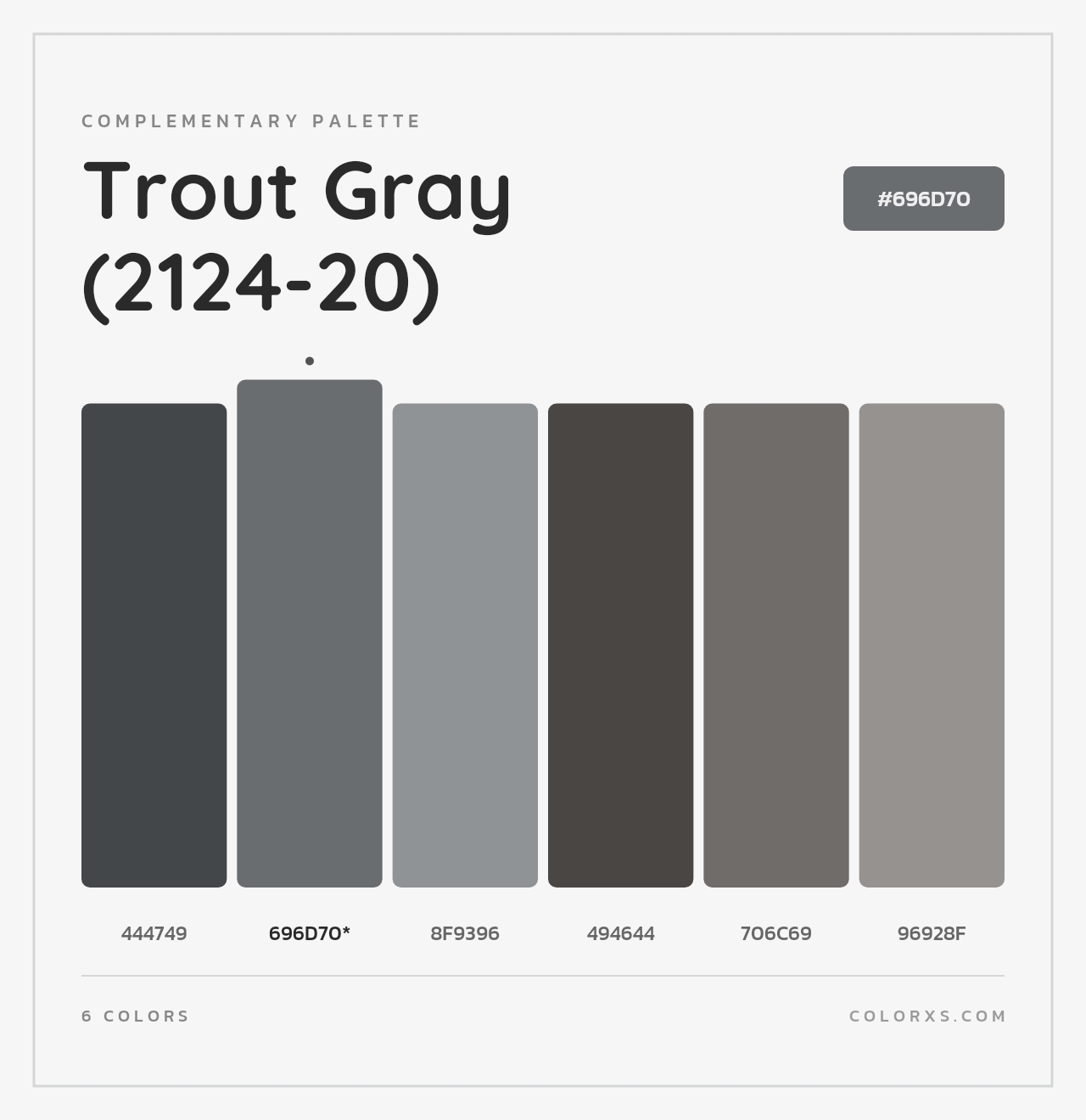 Trout Gray (2124-20) - Complementary Color Palette