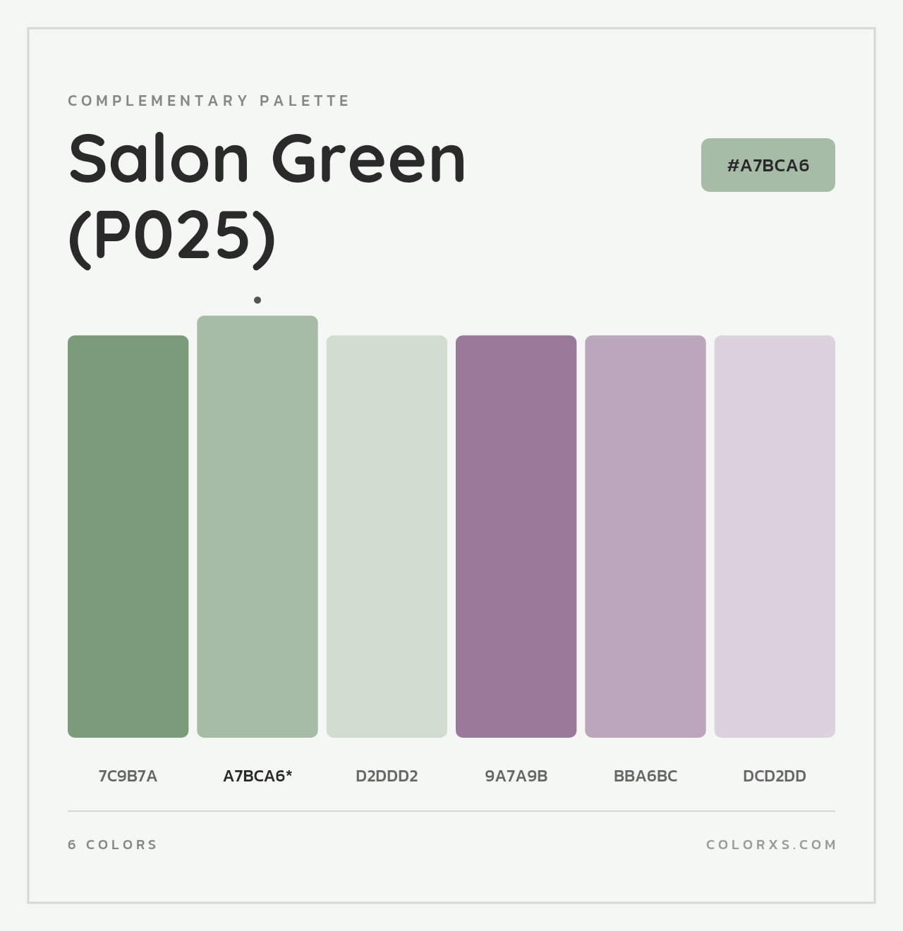 Salon Green (P025) - Complementary Color Palette