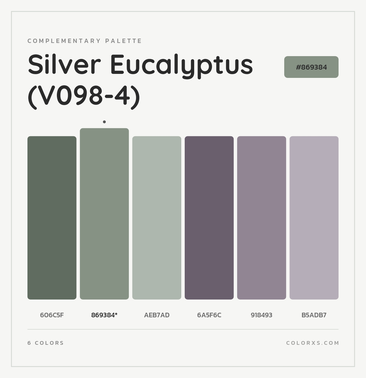 Silver Eucalyptus (V098-4) - Complementary Color Palette