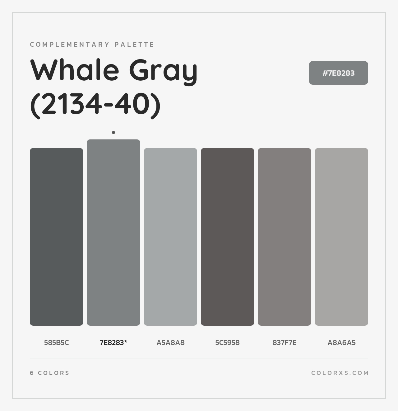 Whale Gray (2134-40) - Complementary Color Palette