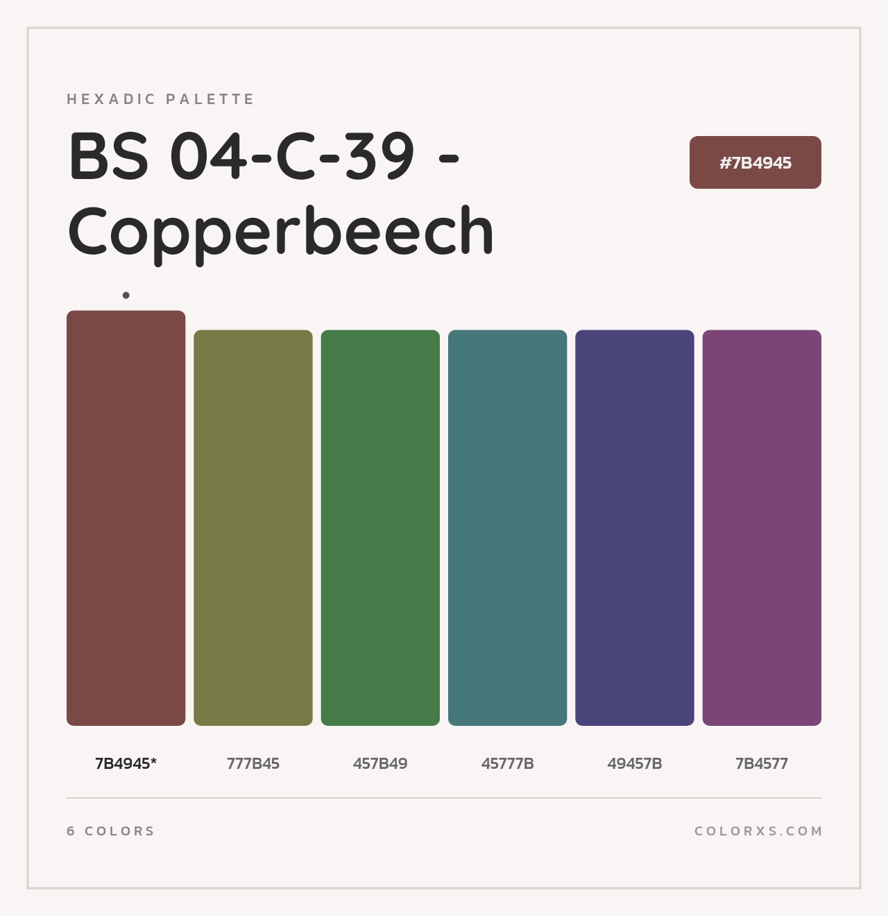 BS 04-C-39 - Copperbeech - Hexadic Color Palette