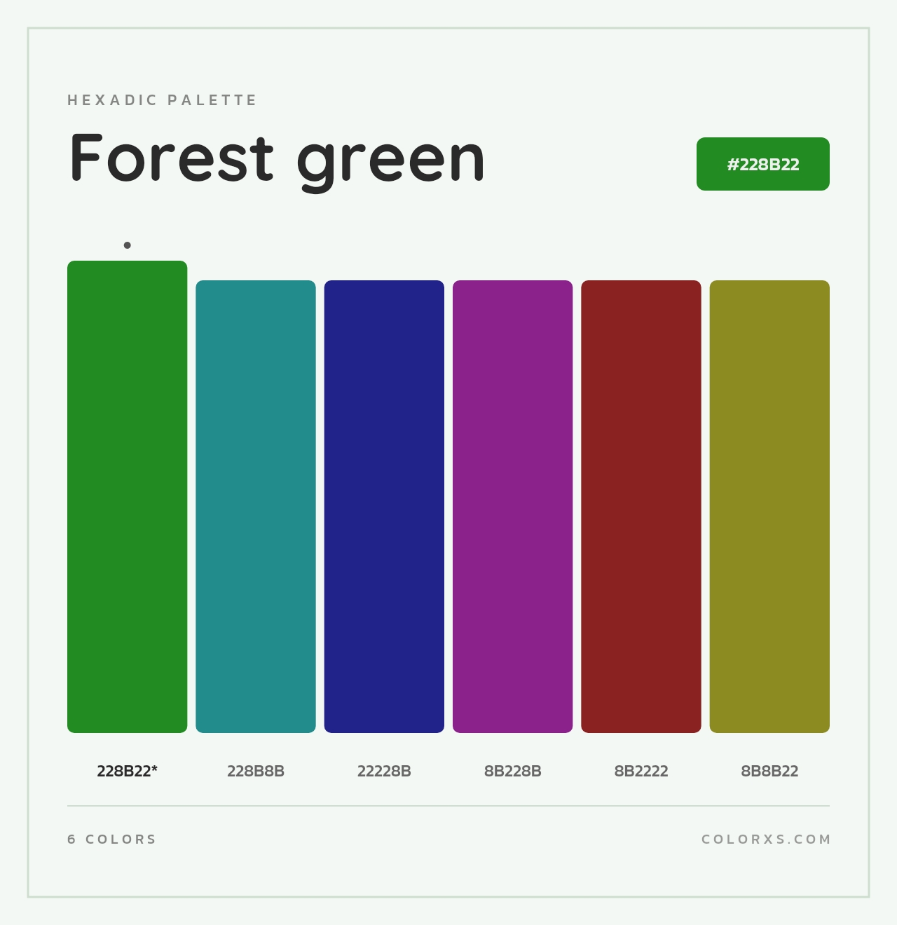 Forest green - Hexadic Color Palette