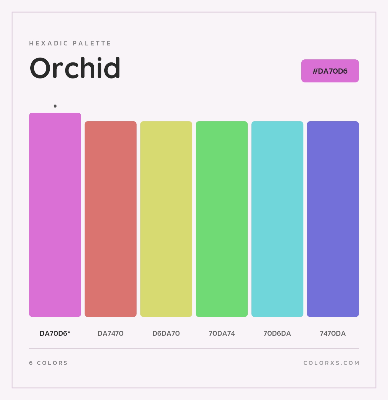 Orchid - Hexadic Color Palette