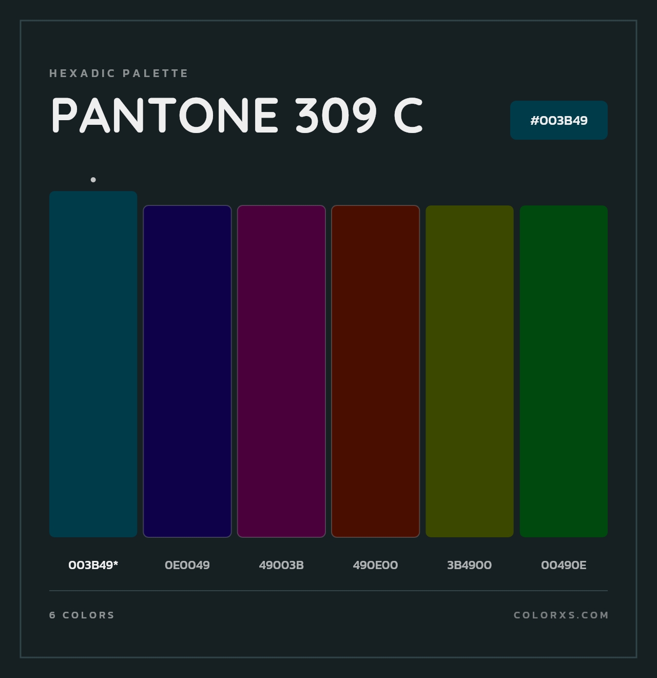 PANTONE 309 C - Hexadic Color Palette