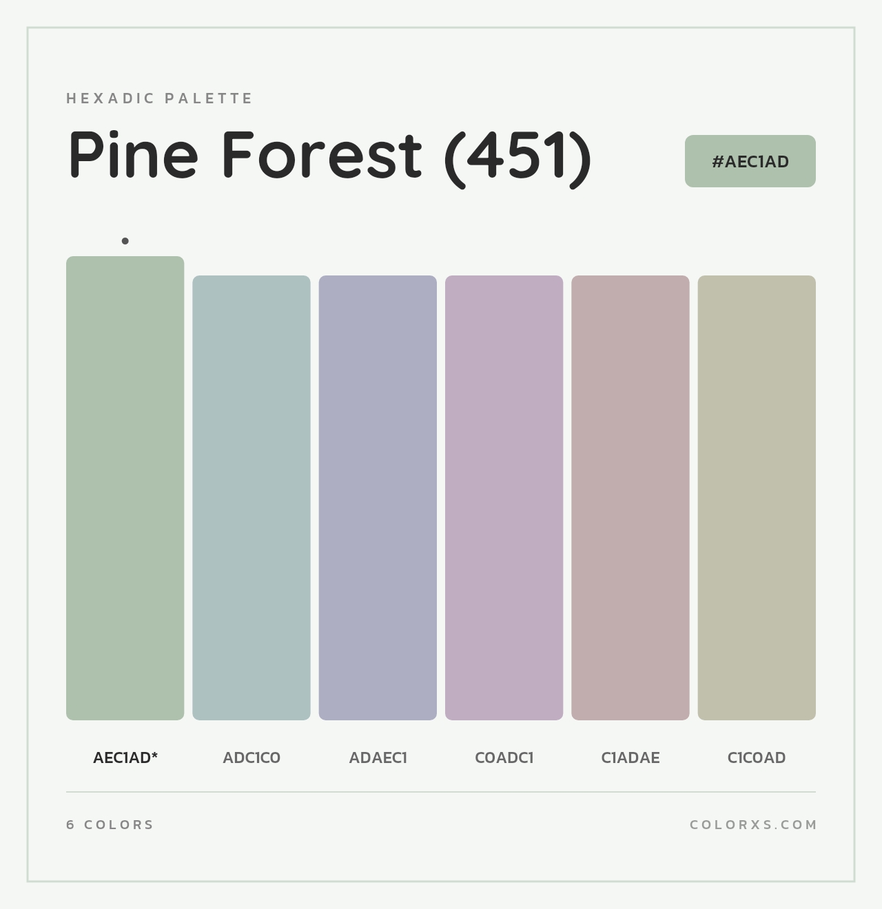 Pine Forest (451) - Hexadic Color Palette